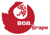 logo_BCA