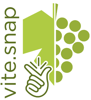 VITE.SNAP-LR-Web-Trasp-01