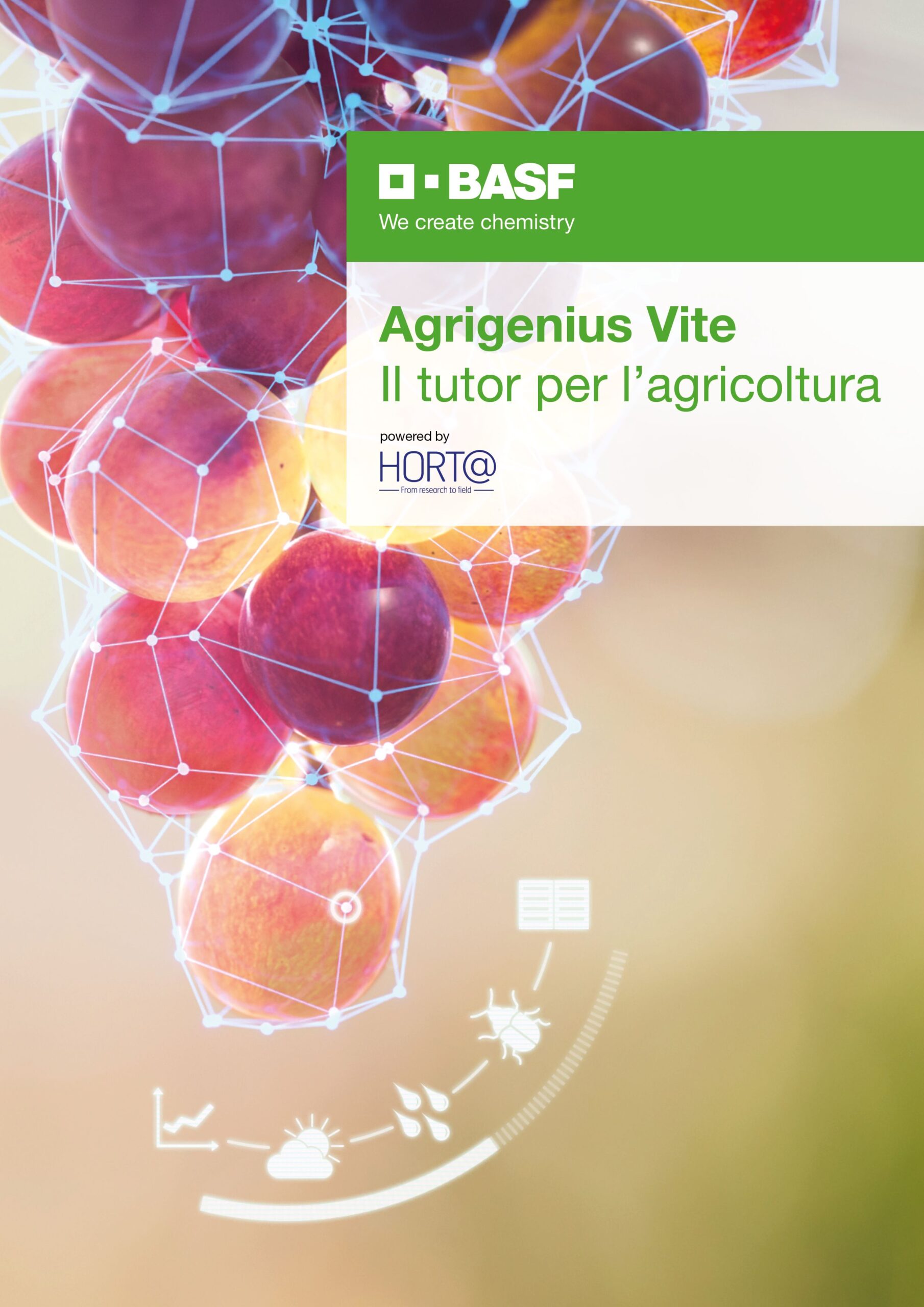 La divisione Agricultural Solutions di BASF investe sull’Italia per le soluzioni digitali dedicate al comparto vitivinicolo