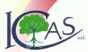 ICAS_logo-1.jpg