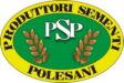 PSP.jpg