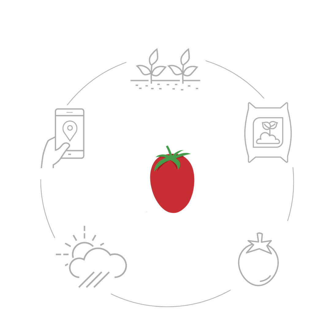 Funzionamento pomodoro.net