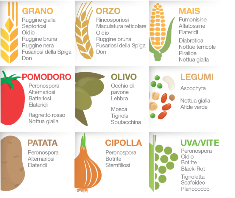 avversità e insetti dss